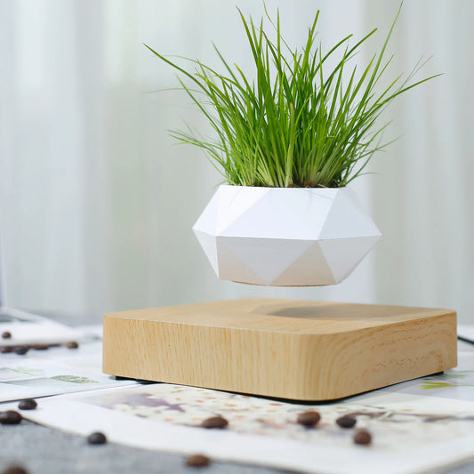 HoverHome Levatating Plant Pot